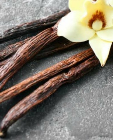 FRA0036 - FRAG 1ML FLORAL BAUNILHA NEGRA