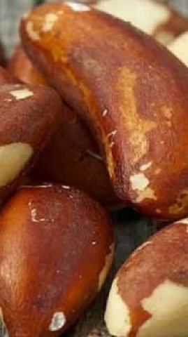 OVE0014 - OLEO VEGETAL 1ML DE CASTANHA DO PARA